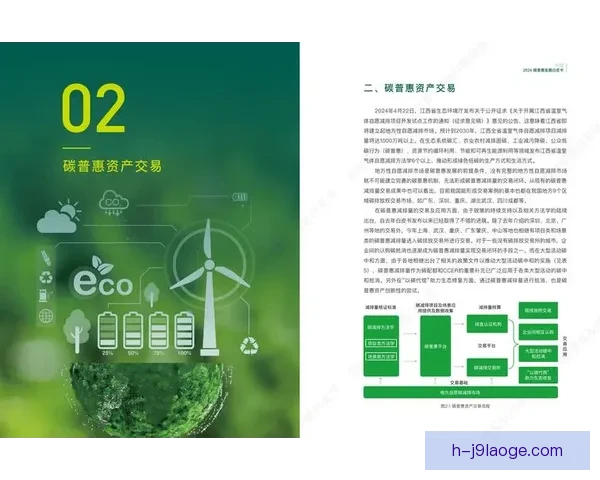 2026年世界杯绿色办赛白皮书全面解读与可持续实践探索